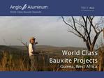 World Class Bauxite Projects