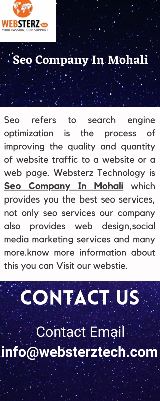 Seo Company In Mohali