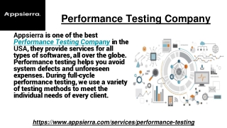 Performance Testing Company