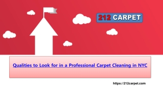 Qualities to Look for in a Professional Carpet Cleaning in NYC