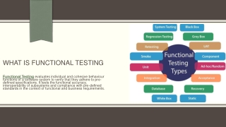 what is functional testing