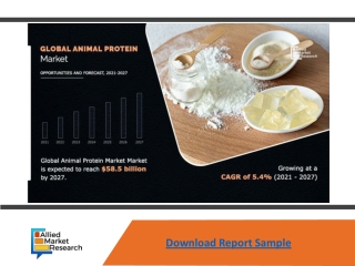 Animal Protein Market