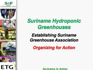 Suriname Hydroponic Greenhouses Establishing Suriname Greenhouse Association Organizing for Action