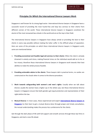 Principles on Which the International Divorce Lawyers Work
