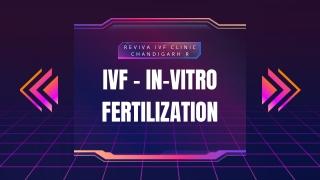 IVF – In-Vitro Fertilization