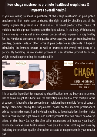 How chaga mushrooms promote healthiest weight loss & improves overall health