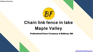 Chain link fence in lake Maple Valley