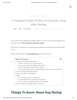 [A Complete Guide] How To Unstick A Dog After Mating_