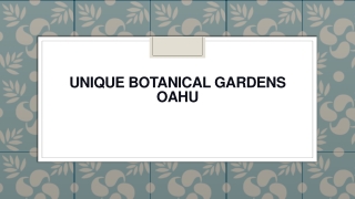 Unique Botanical Gardens Oahu