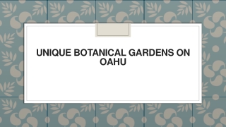 Unique Botanical Gardens on Oahu