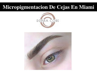 Micropigmentacion De Cejas En Miami