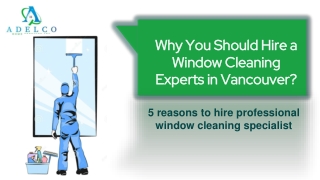 Why You Should Hire a Window Cleaning Experts in Vancouver?