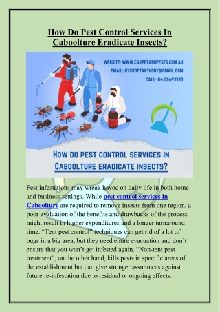 How Do Pest Control Services In Caboolture Eradicate Insects?