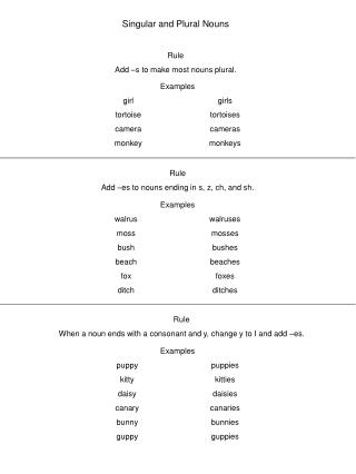 Singular and Plural Nouns Rule Add –s to make most nouns plural.