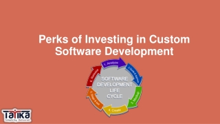 Perks of Investing in Custom Software Development