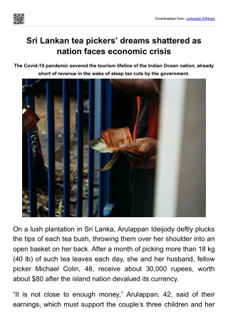 Sri Lankan tea pickers’ dreams shattered as nation faces economic crisis