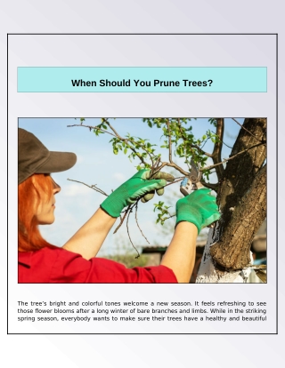 Why Is Tree Pruning Necessary?
