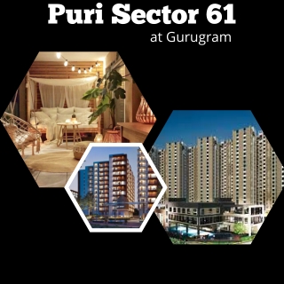 Puri Sector 61 Gurgaon- Brochure