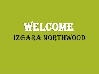 Best turkish mediterranean food in Northwood
