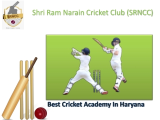 Best Cricket Academy In Haryana