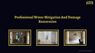 Professional Water Mitigation And Damage Restoration