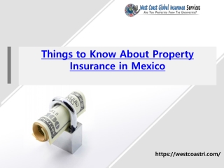 Things to Know About Property Insurance in Mexico