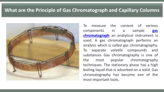 What are the Principle of Gas Chromatograph and Capillary Columns