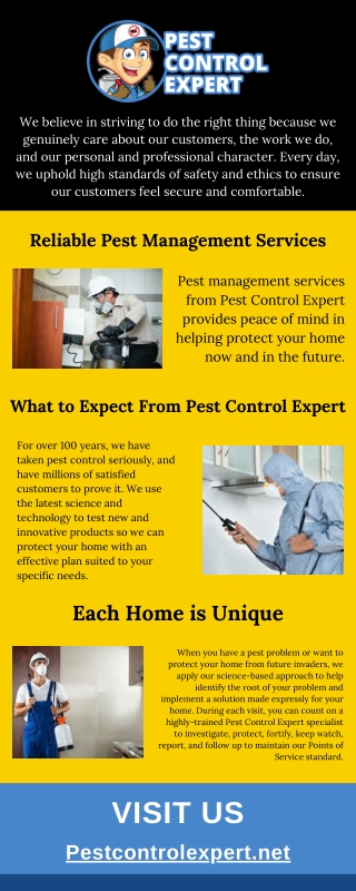 Best Pest Management Services - Pest Control Expert