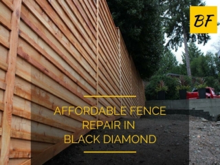 Fence Repair in Black Diamond at an Affordable Price