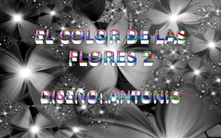 Kvetiny v barve - El color de las flores (Antonio) 2