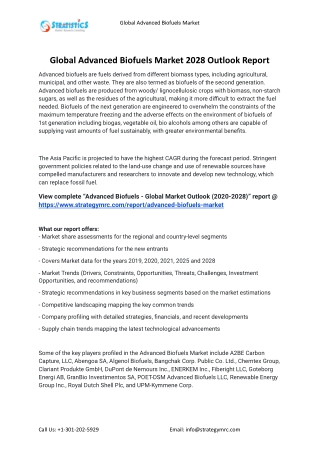 2021 Advanced Biofuels Industry Global Analysis Report