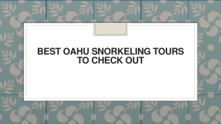 Best Oahu Snorkeling Tours to Check Out