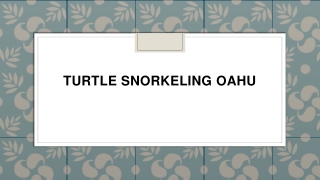Turtle Snorkeling Oahu