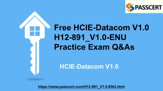 HCIE-Datacom V1.0 H12-891_V1.0-ENU Dumps