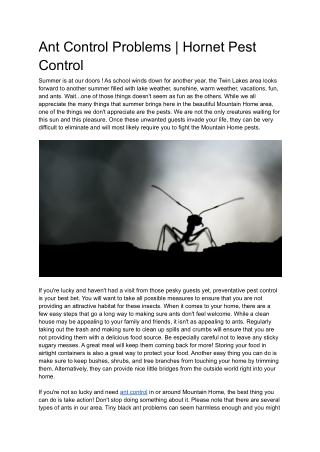 Ant Control Problems | Hornet Pest Control