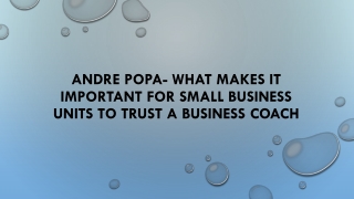 Andre Popa- What Makes It Important for Small Business Units to Trust a Business Coach
