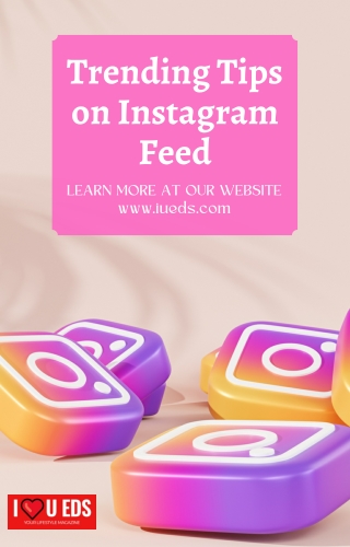 Instagram Feed Strategies For Your Brand
