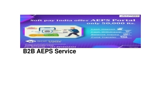 B2B AEPS service