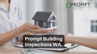 Termite Inspection Perth - Prompt Building Inspection