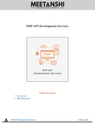 PHP API Development Services