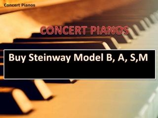 Steinway model B sale