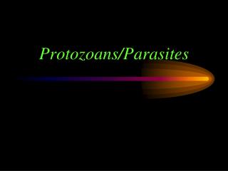 Protozoans/Parasites