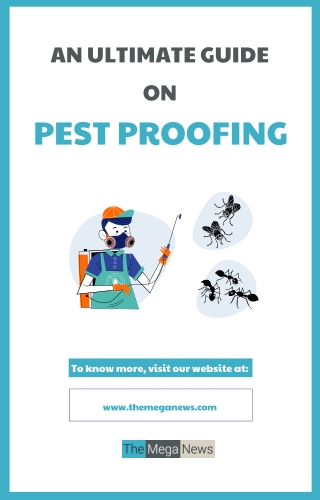 All You Need To Know About Pest Proofing Services