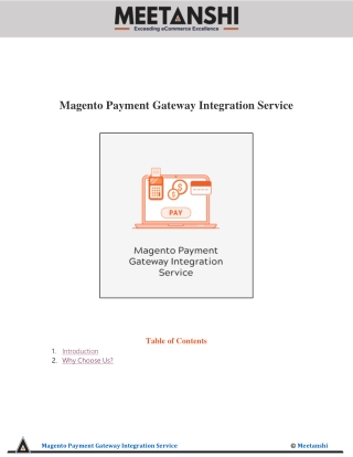 Magento Payment Gateway Integration Service