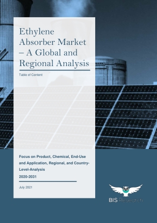 Ethylene Absorber Market