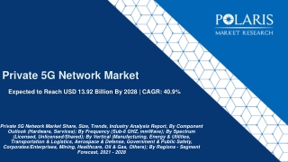 Private 5G Network Market Size & Share