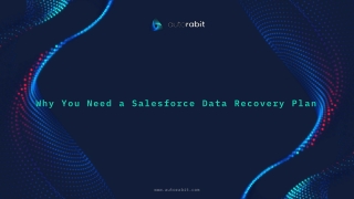 Why You Need a Salesforce Data Recovery Plan