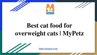 Best cat food for overweight cats | Mypetz