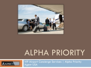 Best VIP Airport Services | Airport Greeter