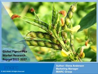 Pigeon Pea Market  PDF | Growth | Trends | Forecast to 2022-2027